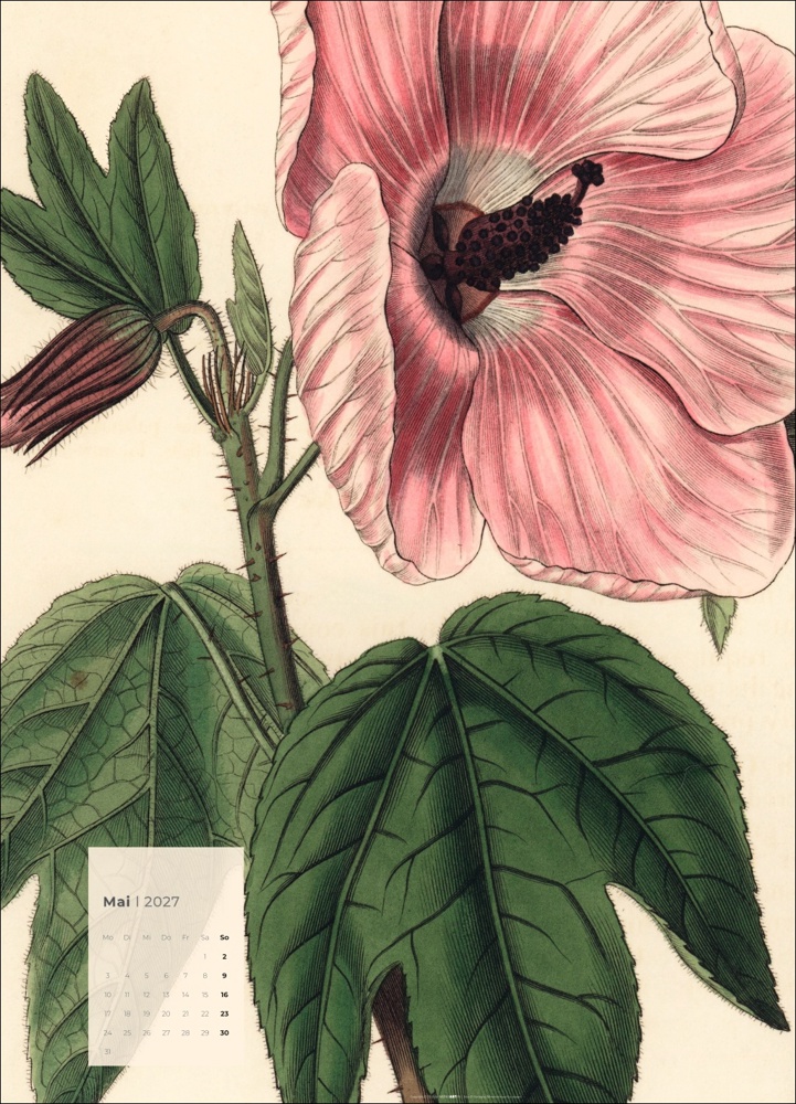 Botanicals
