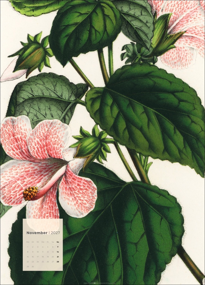 Botanicals