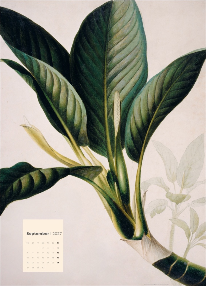 Botanicals