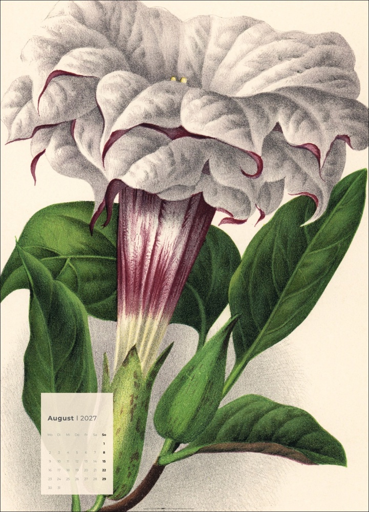 Botanicals