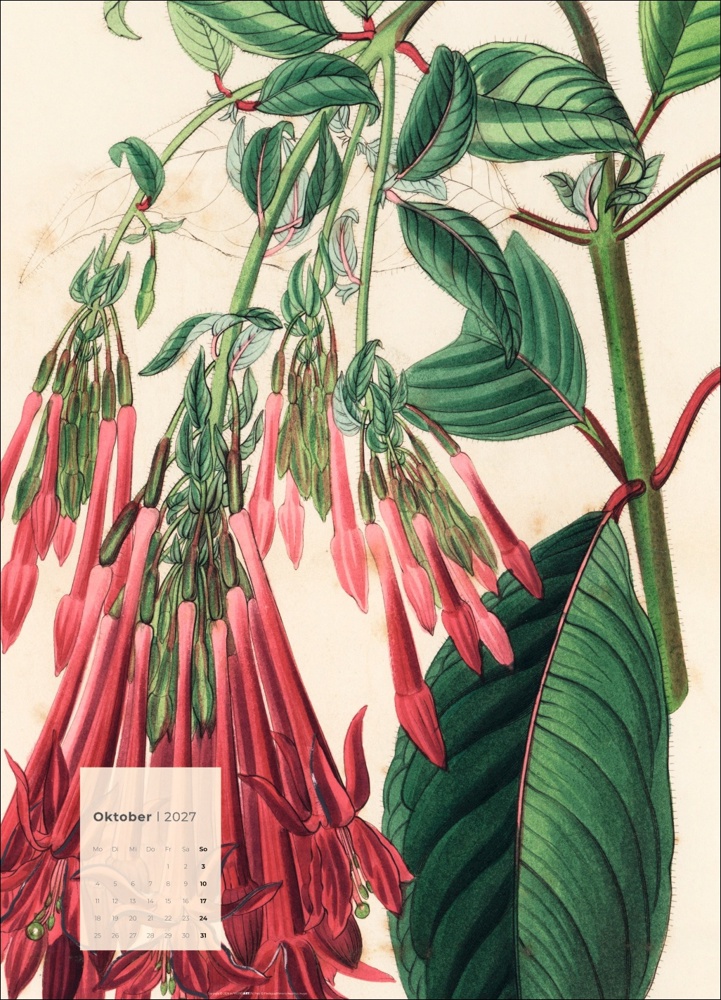 Botanicals