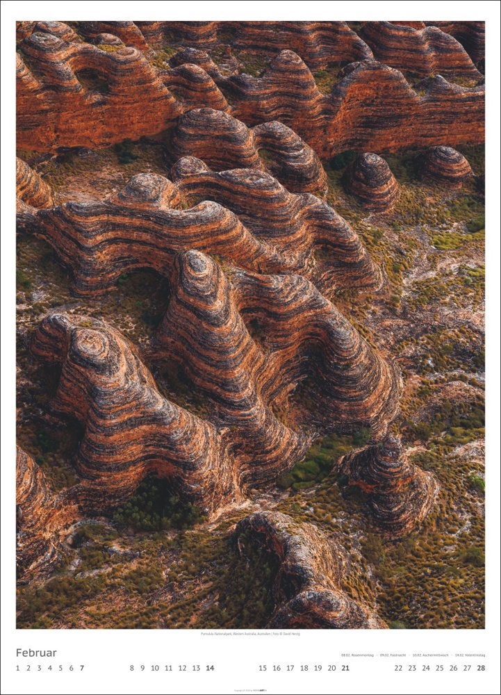 Art of Nature