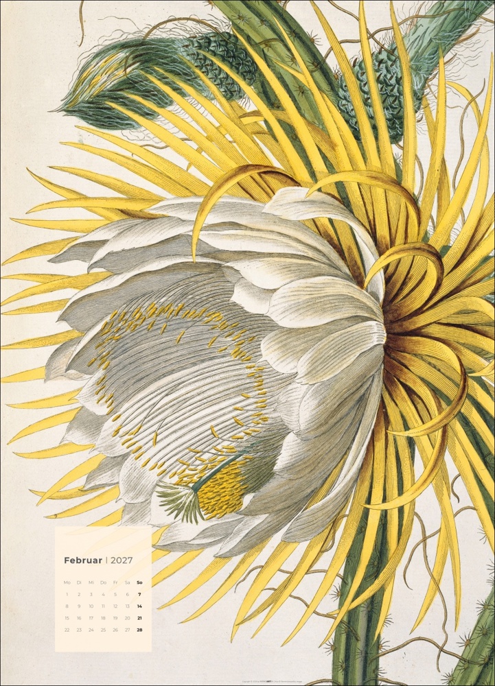 Botanicals